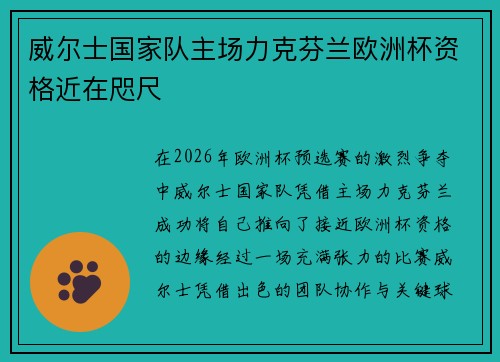 威尔士国家队主场力克芬兰欧洲杯资格近在咫尺
