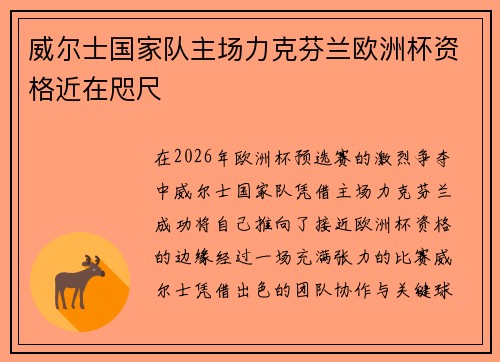 威尔士国家队主场力克芬兰欧洲杯资格近在咫尺