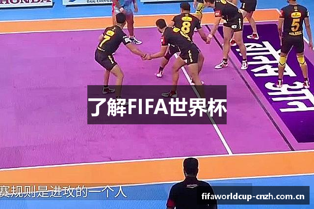 了解FIFA世界杯